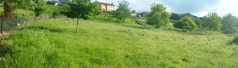 finca